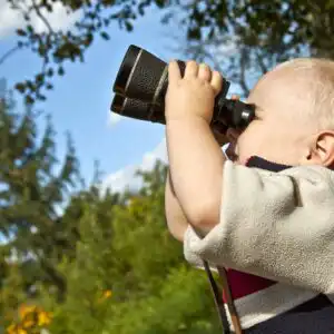 Birdwatching-with-Binoculars