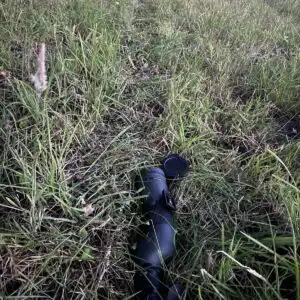 IMG-20250715-WA0002